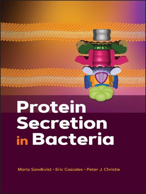 cover image of Protein Secretion in Bacteria